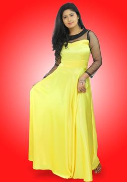 Picture of Black Net Mixed Crepe Silk Long Sleeves Maxi Party Dress