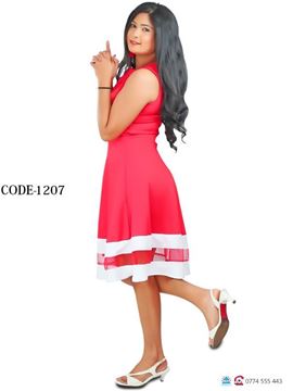 Picture of Two Color Short Frock with Net