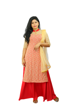 Picture of Gold lace Mixed Lehanga Kit